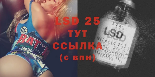 PSILOCYBIN Покачи