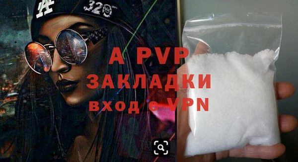 PSILOCYBIN Покачи