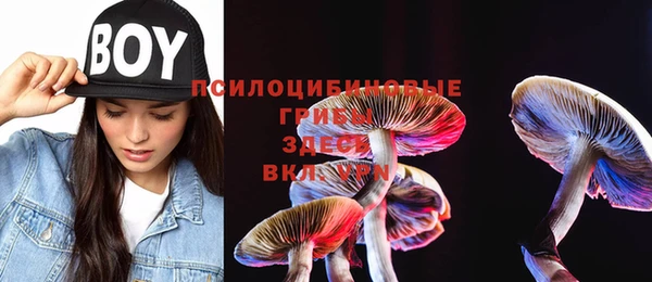 кокаин премиум Жердевка